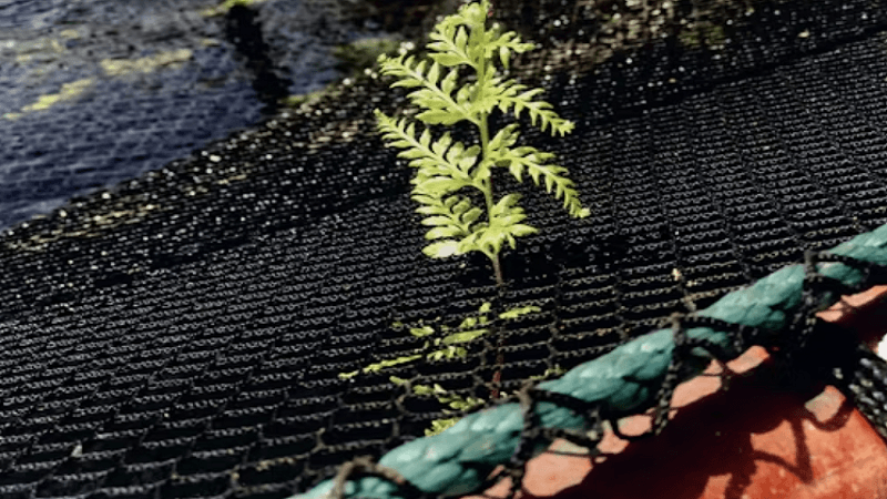 Plastic Weed Barrier Sheet for Clean and Controlled Soil