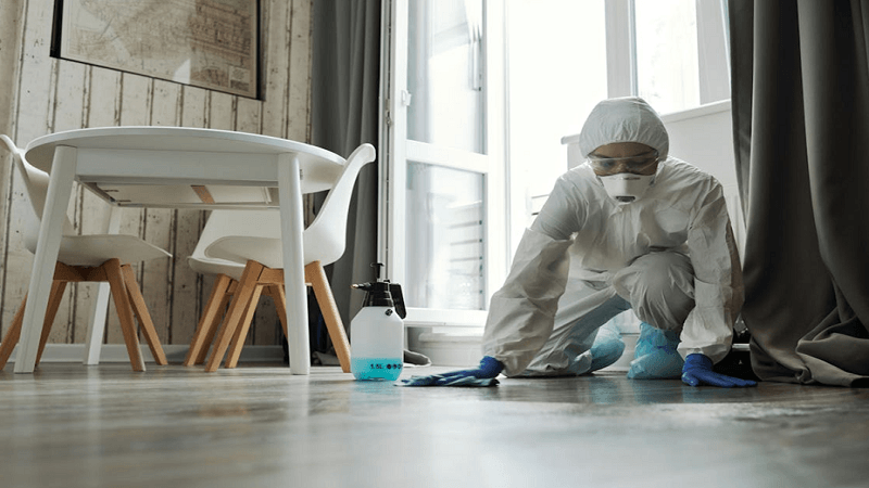 5 Ways Local Pest Control Experts Can Protect Your Home From Infestations